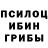 Псилоцибиновые грибы Psilocybine cubensis alsu abdullina