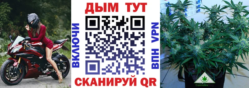 Бошки марихуана ГИДРОПОН  купить наркоту  сайты даркнета как зайти  Чердынь 